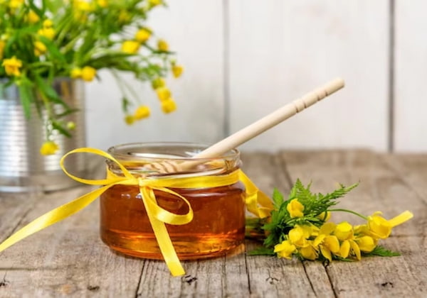 قیمت و خرید عسل طبیعی سبلان + فروش عمده